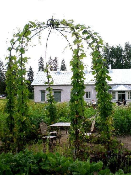 Tertin Kartano Hotel Микели Екстериор снимка