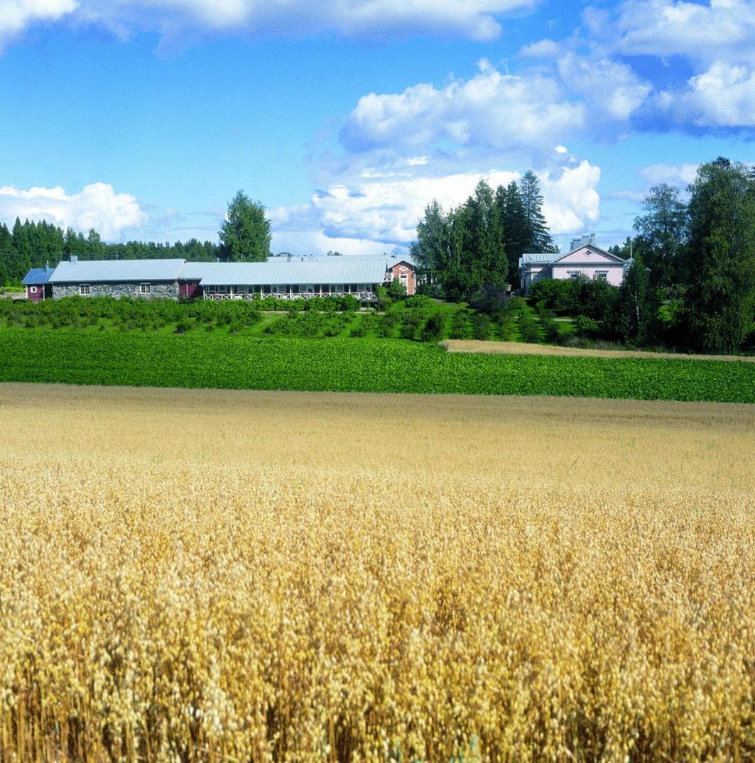 Tertin Kartano Hotel Микели Екстериор снимка